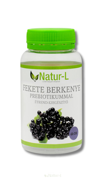 Fekete berkenye (arónia) gyógyhatásai