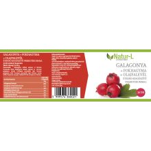 GALAGONYA+FOKHAGYMA - A szív gyógynövényei