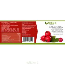 GALAGONYA + FOKHAGYMA + OLAJFALEVÉL - 3 havi kúra