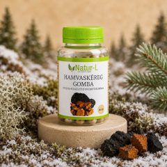 HAMVASKÉREG (CHAGA) GOMBA - A fagyos észak gyógygombája