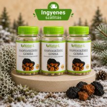 HAMVASKÉREG (CHAGA) GOMBA 3 darabos csomag