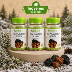 HAMVASKÉREG (CHAGA) GOMBA 3 darabos csomag