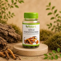   KÍNAI HERNYÓGOMBA - Energizáló, élénkítő és immunerősítő