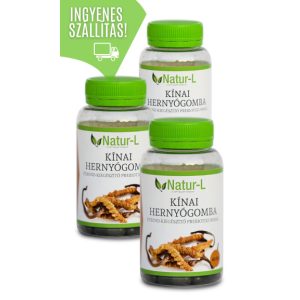 KÍNAI HERNYÓGOMBA 3 darabos csomag