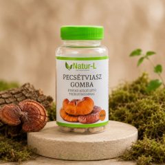   PECSÉTVIASZGOMBA (GANODERMA) - A legsokoldalúbb gyógygomba