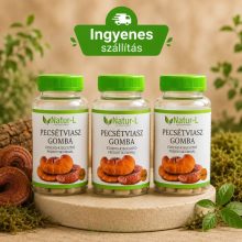PECSÉTVIASZGOMBA (GANODERMA) tripla csomag