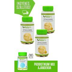 SÜNGOMBA 3 HAVI CSOMAG + AJÁNDÉK PROBIOTIKUM MIX!