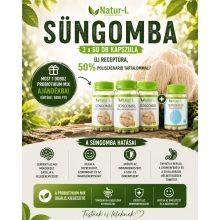 SÜNGOMBA 3 db + AJÁNDÉK Probiotikum Mix!