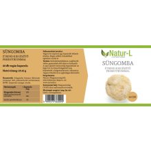 SÜNGOMBA 3 db + AJÁNDÉK Probiotikum Mix!