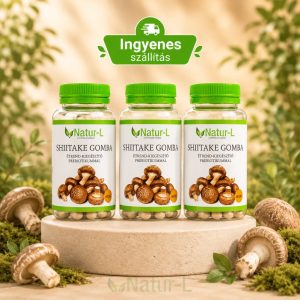 SHIITAKE GOMBA 3 darabos csomag