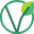 vegan vegan